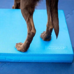 FitPAWS Balance Pad -Honden Benodigdheden fitpaws balance pad 176131 0500 none