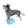 FitPAWS Balance Ramp -Honden Benodigdheden fitpaws balance ramp 35 cm 106690 1500 none