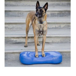 FitPAWS K9Fitbone -Honden Benodigdheden fitpaws k9fitbone 109639 0500 none