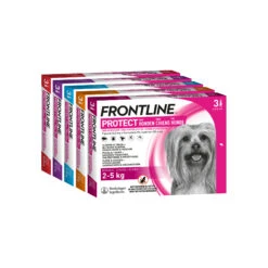Frontline Protect Hond Spot On 23 Frontline Protect Hond Spot On -Honden Benodigdheden frontline protect hond spot on 192809 2000 none
