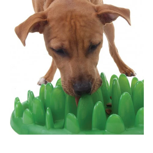 Company Of Animals Green Slow Dog Feeder 5 Company Of Animals Green Slow Dog Feeder - Afbeelding 3