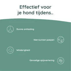 Greenfields Probiotics+ -Honden Benodigdheden greenfields probiotics 208382 2000 none