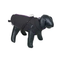 Nobby Hondenjas Sobak -Honden Benodigdheden hQWcOLZc59ufZPTnJZr8d8cougrYCS metabm9iYnlfaG9uZGVuamFzX3NvYmFrXzIxNjkxNV8wNTAwX25vbmUuanBn