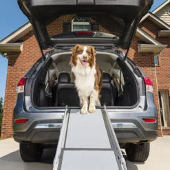 Happy Ride Telescoping Pet Ramp Deluxe -Honden Benodigdheden happy ride telescoping pet ramp deluxe 162499 1000 none