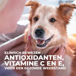 Hill's Science Plan - Adult - Performance 16 Hill's Science Plan - Adult - Performance -Honden Benodigdheden hills science plan adult performance 218770 0500 none
