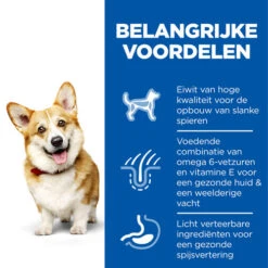 Hill's Science Plan - Small & Mini Adult Dog -Honden Benodigdheden hills science plan adult small miniature 218854 0500 none