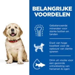 Hill's Science Plan - Large Puppy -Honden Benodigdheden hills science plan puppy large chicken 218508 0500 none