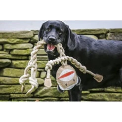 HuggleHounds Rope Knotties Monkey -Honden Benodigdheden hugglehounds rope knotties monkey 214151 0500 none