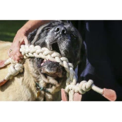 HuggleHounds Rope Knotties Monkey -Honden Benodigdheden hugglehounds rope knotties monkey 214157 0500 none