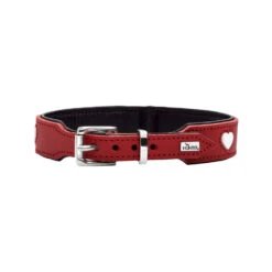 Hunter Collar Love -Honden Benodigdheden hunter collar love 223466 1000 none