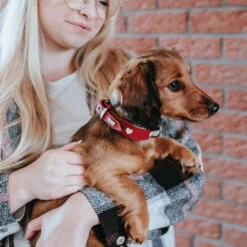 Hunter Collar Love -Honden Benodigdheden hunter collar love 223472 1000 none