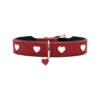 Hunter Collar Love -Honden Benodigdheden hunter collar love 37xs s 137815 1000 none