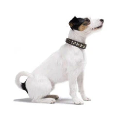 Hunter Halsband Arizona -Honden Benodigdheden hunter halsband arizona 116187 0500 none