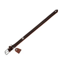 Hunter Halsband Cody 19 Hunter Halsband Cody -Honden Benodigdheden hunter halsband cody 116502 0500 none