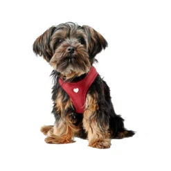 Hunter Harness Love -Honden Benodigdheden hunter harness love 223522 1000 none