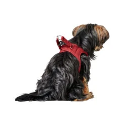Hunter Harness Love -Honden Benodigdheden hunter harness love 223527 1000 none
