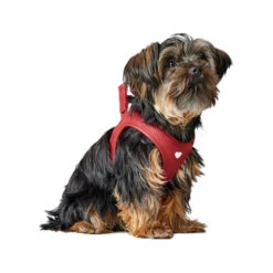 Hunter Harness Love -Honden Benodigdheden hunter harness love 223528 1000 none