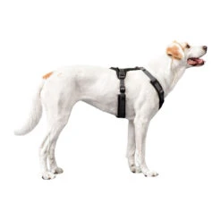 Hunter Harness Maldon 40 Hunter Harness Maldon -Honden Benodigdheden hunter harness maldon 223765 1500 none