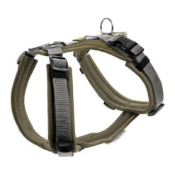 Hunter Harness Maldon 26 Hunter Harness Maldon -Honden Benodigdheden hunter harness maldon xs 34 49 cm olijfgroengrijs 138080 1500 none