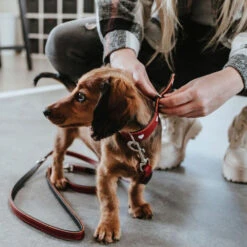 Hunter Training Line Love 13 Hunter Training Line Love -Honden Benodigdheden hunter training line love 223477 1000 none