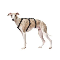 Hunter Vario Rapid Veiligheidsharnas -Honden Benodigdheden hunter vario rapid veiligheidsharnas zwart 169501 0500 none