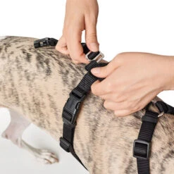 Hunter Vario Rapid Veiligheidsharnas -Honden Benodigdheden hunter vario rapid veiligheidsharnas zwart 169504 0500 none