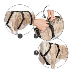 Hunter Vario Rapid Veiligheidsharnas -Honden Benodigdheden hunter vario rapid veiligheidsharnas zwart 169510 0500 none