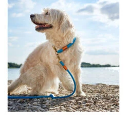 Hunter Verstelbare Riem Oss 25 Hunter Verstelbare Riem Oss -Honden Benodigdheden hunter verstelbare riem oss 116580 0500 none