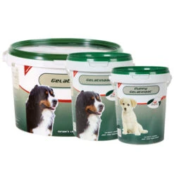 PrimeVal Gelatinaat Hond 17 PrimeVal Gelatinaat Hond -Honden Benodigdheden i3ewZQGiFVpG0UJLqYGv5CJkXTkGFs metaaW5mb3JtYXRpZV9vdmVyX19iZXN0ZWxsZW5fbWVkcGV0c19ubF80XzEzNjE3ODU3OTFfNjY0MS5qcGc