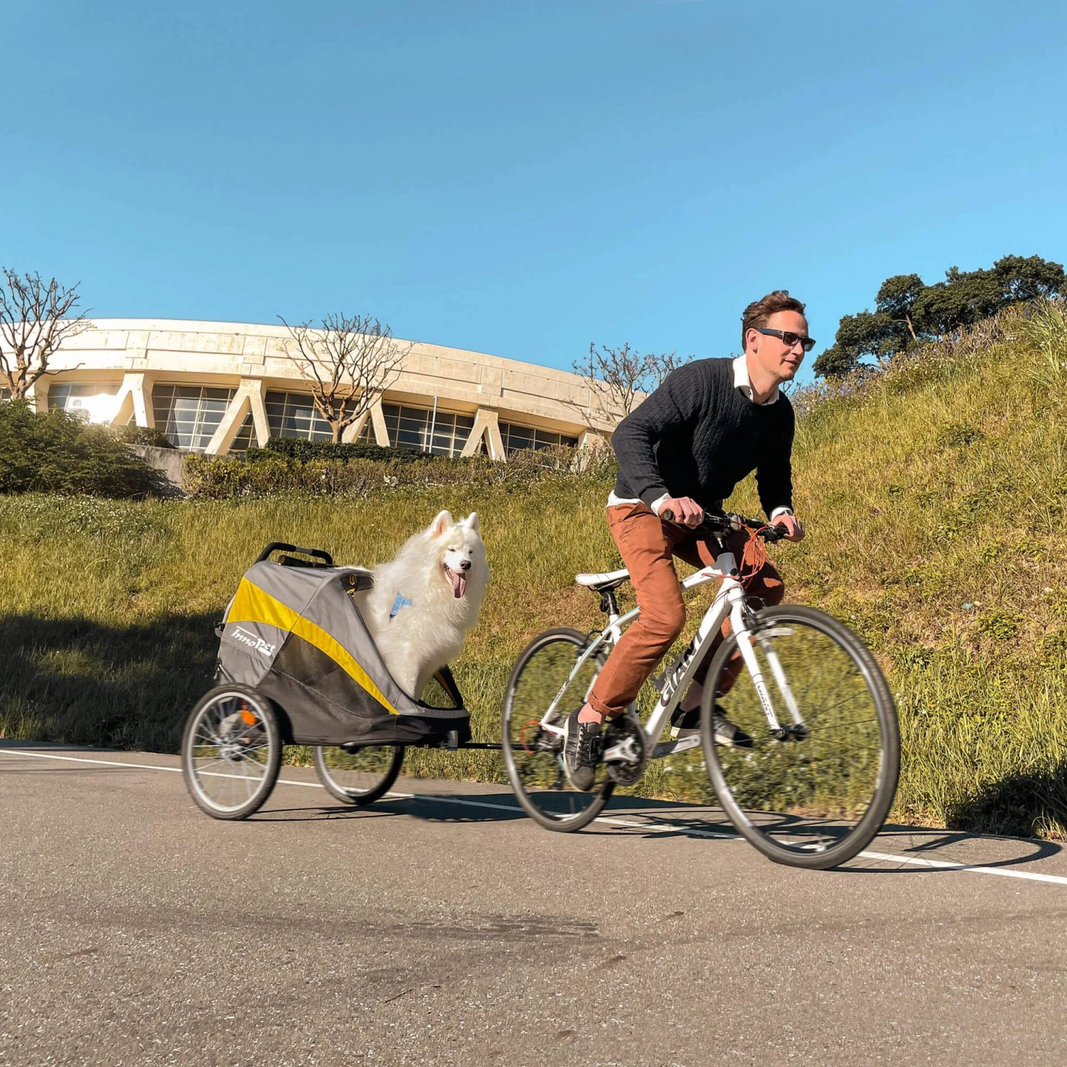 InnoPet Buggy Hercules 8 InnoPet Buggy Hercules - Afbeelding 6