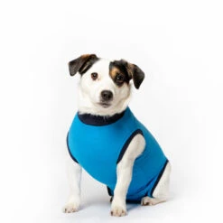 Jacketz Medical Body Suit Hond -Honden Benodigdheden jacketz medical body suit hond xs blue 129595 2000 none