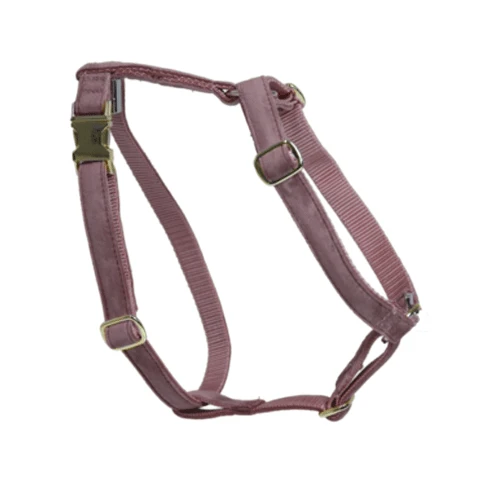 Kentucky Dogwear Hondenharnas Velvet Loop - Afbeelding 12