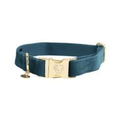 Kentucky Dogwear Velvet Hondenhalsband -Honden Benodigdheden kentucky dogwear velvet emerald xs 25 38 cm 134923 0500 none