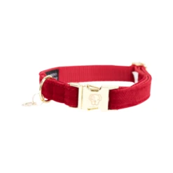 Kentucky Dogwear Corduroy Hondenhalsband -Honden Benodigdheden kentucky dogwear corduroy hondenhalsband 219198 0500 none