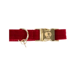 Kentucky Dogwear Corduroy Hondenhalsband -Honden Benodigdheden kentucky dogwear corduroy hondenhalsband 219199 0500 none