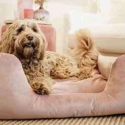 Kentucky Dogwear Velvet Hondenmand 18 Kentucky Dogwear Velvet Hondenmand -Honden Benodigdheden kentucky dogwear velvet hondenmand 219658 0500 none