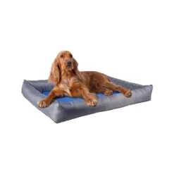 Flamingo Koelmand Fresk Rechthoek -Honden Benodigdheden koelmand fresk rechthoek 222645 1000 none