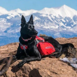 Kurgo Baxter Backpack -Honden Benodigdheden kurgo baxter backpack 222793 0500 none