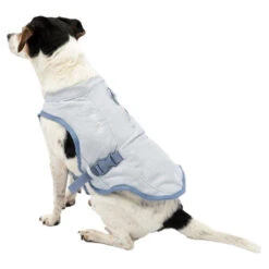 Kurgo Core Cooling Vest -Honden Benodigdheden kurgo core cooling vest 222803 0500 none