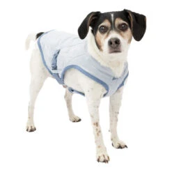 Kurgo Core Cooling Vest -Honden Benodigdheden kurgo core cooling vest 222805 0500 none