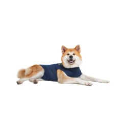 Medical Pet Shirt Hond -Honden Benodigdheden medical pet shirt hond 167410 1000 none