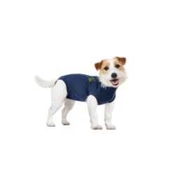 Medical Pet Shirt Hond -Honden Benodigdheden medical pet shirt hond 167422 1000 none