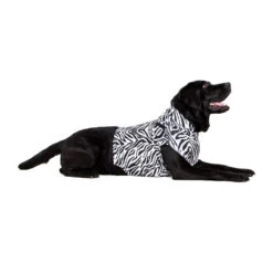 Medical Pet Top Shirt - Zebraprint -Honden Benodigdheden medical pet top shirt zebraprint 150704 1000 none