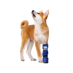 Medical Pet Shirt Boot -Honden Benodigdheden medical pets boot 167479 1000 none