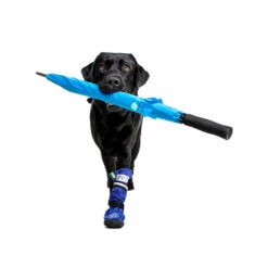 Medical Pet Shirt Boot -Honden Benodigdheden medical pets boot 167482 1000 none