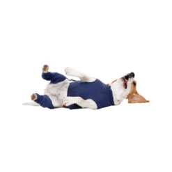 MPS-HLS Achterpootmouwtjes -Honden Benodigdheden mps hls achterpootmouwtjes 167440 1000 none