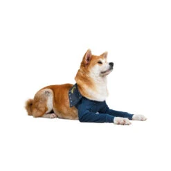 MPS-TAZ2 Voorpootmouwtjes 24 MPS-TAZ2 Voorpootmouwtjes -Honden Benodigdheden mps taz2 voorpootmouwtjes 167446 1000 none