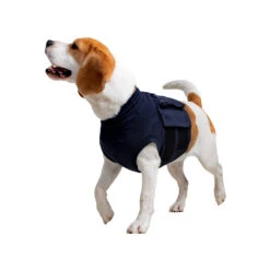 MPS-TOP Shirt 4 In 1 -Honden Benodigdheden mps top shirt 4 in 1 149909 2000 none