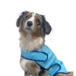 Nobby Cooling Vest -Honden Benodigdheden nobby cooling vest 222498 1000 none
