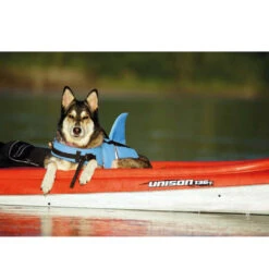 Nobby Sharki Hondenzwemvest -Honden Benodigdheden nobby sharki hondenzwemvest 221666 1000 none